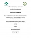 Actividad 1: Análisis estratégico previo a la auditoría y actividad de Evaluación
