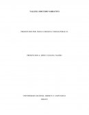 TALLER 2: DISCURSO NARRATIVO.BIOGRAFIA DE SHAKIRA