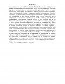 Los contaminantes ambientales o también llamado Xenobioticos