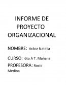 INFORME DE PROYECTO ORGANIZACIONAL