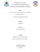 PROYECTO PLAN DE CAPACITACIÓN EN LA EMPRESA “ACOLCHONADITOS S.A.”