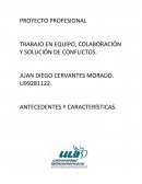 PROYECTO PROFESIONAL TRABAJO EN EQUIPO, COLABORACIÓN Y SOLUCIÓN DE CONFLICTOS