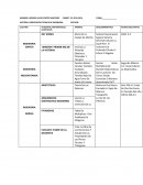 ORIENTACION TECNICA DE INGENIERIA