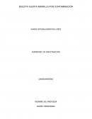 ¿Cuál es la cálidad de del aire que respiramos en Bogotá?