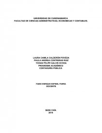 PROGRAMA ACADÉMICO CONTADURÍA PÚBLICA. Página 1