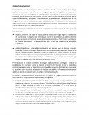 Analisis critico-Gestion de riesgos