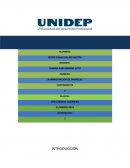 Habilidades Ejecutivas