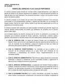 RAMAS DEL DERECHO A LAS CUALES PERTENECE