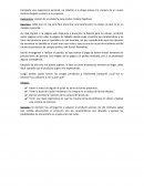 Experiencia de compra