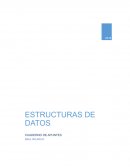 IMPORTANCIA DE LA ORGANIZACIÓN DE DATOS