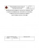 Aprobación del Programa de Seguridad y Salud Laboral