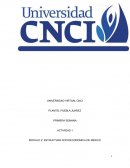 Estructura socioeconomica de mexico actividad 1