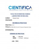METABOLISMO CELULAR: Procesos de Respiración Celular