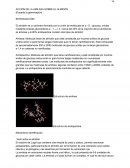 Acción de la amilasa sobre el almidón