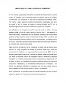 IMPORTANCIA DE LA MALLA DE RED DE TRANSPORTE