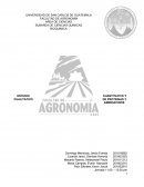 ESTUDIO CUANTITATIVO Y CUALITATIVO DE PROTEINAS Y AMINOACIDOS EN GARBANZO
