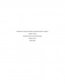 Gestion de prevención de riesgos