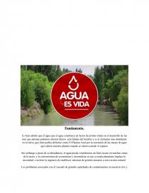 Cuido de los recursos hídricos. Página 1