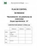 PLAN DE CONTROL DE RIESGOS “Remodelación de pabellones de maternidad Grupo reproductora 14”