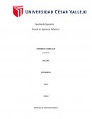 EXPERIENCIA CURRICULAR