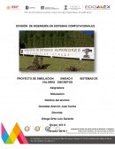 PROYECTO DE SIMULACION UNIDAD II SISTEMAS DE VALORES DISCRETOS