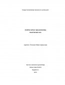 Ensayo herramientas construcción