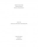 Redacción de un Plan Educativo Individualizado (PEI)