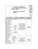 PLANTEAMIENTO FISCAL