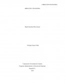 Programa Administración y Dirección de Empresas