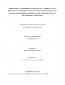 INFRAESTRUCTURA SOSTENIBLE