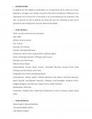 El mensaje de la música a través del cine. Los chicos del coro (Les choristes)