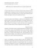 IMPORTANCIA DE LA ORGANIZACIÓN DE UN LUGAR DE TRABAJO-(IIS)