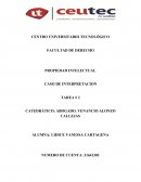 PROPIEDAD INTELECTUAL CASO DE INTERPRETACION