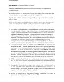 SEGUNDA PARTE : Analizando la práctica profesional