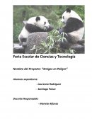 Nombre del Proyecto: “Amigos en Peligro”