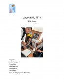 Informe de Física Laboratorio N° 1 “Péndulo”