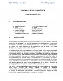UNIDAD PSICOPEDAGÓGICA PLAN DE TRABAJO - 2019