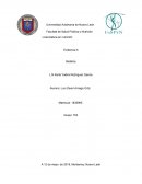 Evidencia 5 Bioética