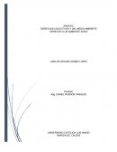 DERECHOS COLECTIVOS Y DEL MEDIO AMBIENTE “DERECHO A UN AMBIENTE SANO”