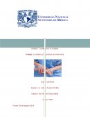 Unidad 7. La estética y el cuidado. Trabajo: La estética y la práctica de enfermería.