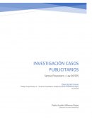Investigación casos publicitarios