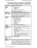 Denominación Agencia Universal S.A (AGUNSA)