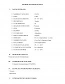 Informe neuropsicologico