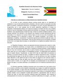 Asamblea General de las Naciones Unidas. Tópico único: “Día cero: Sudáfrica”