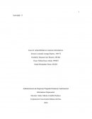 Caso de vulnerabilidad en sistemas informáticos