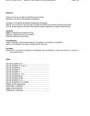 Taller de ortografía