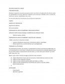 SECUENCIA DIDACTICA: MASAS