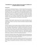 TRANSMISIÓN DE LA MALARIA URBANA EN UNA ZONA NO ENDÉMICA EN LA REGIÓN ANDINA DE COLOMBIA