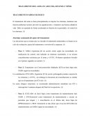 TRATAMIENTO DEL ASMA EN ADULTOS, JOVENES Y NIÑOS