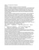 TEMA 6 – GT Organización de Empresas